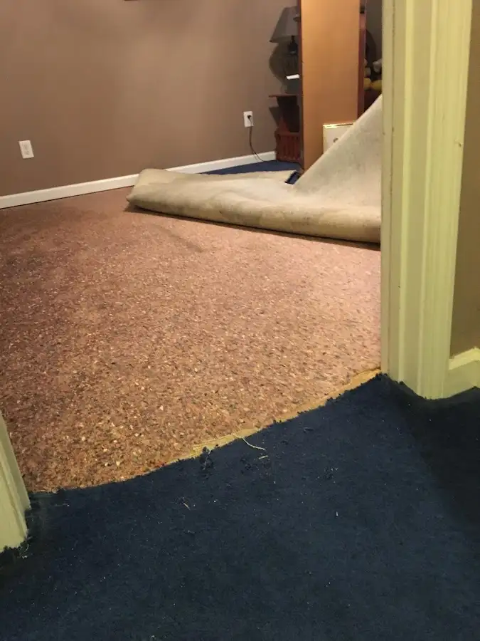 Carpet pad removal revealing water damage during Water Mitigation Services in Perry Heights
